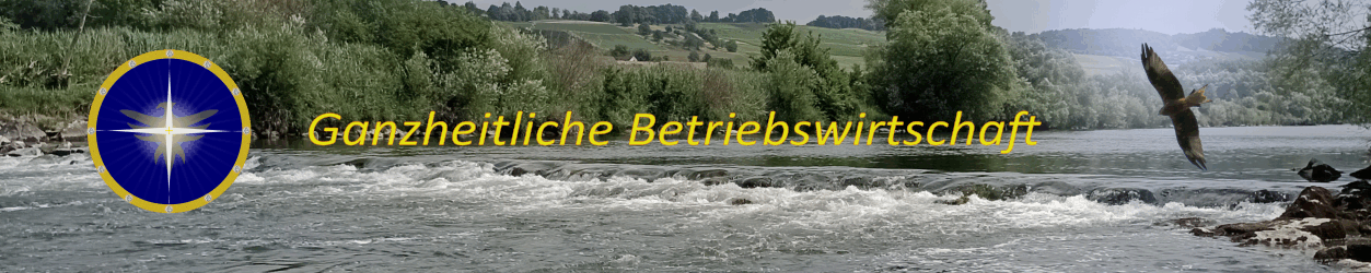 Betriebswirtschaft / Controlling